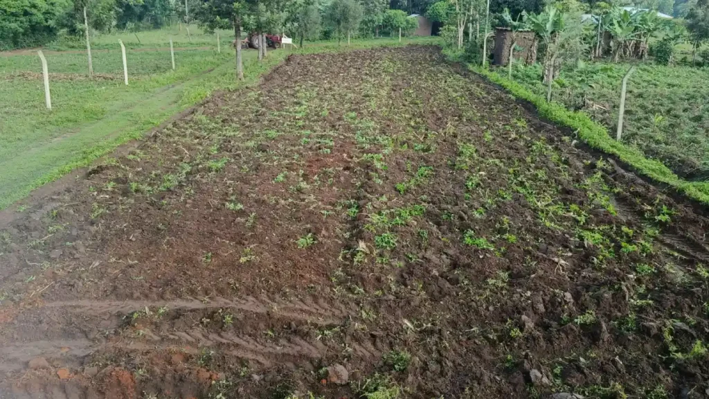 Freshly ploughed farmland in Bungoma prepared through DestinyImpact CBO’s livelihood support tractor program, ready for planting.