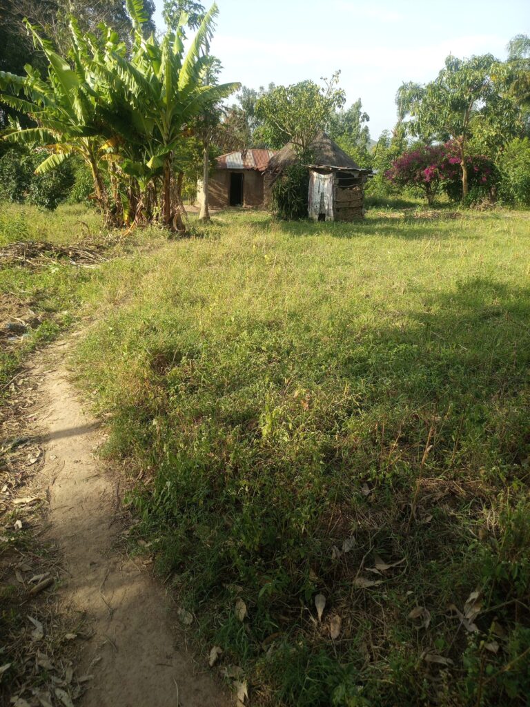 A rural homestead and farmland in Bungoma